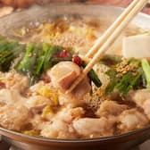 博多のとらちゃん 川崎店 3