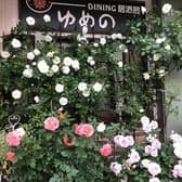 洋風居酒屋ゆめの 3