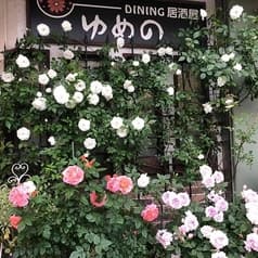 洋風居酒屋ゆめの 2