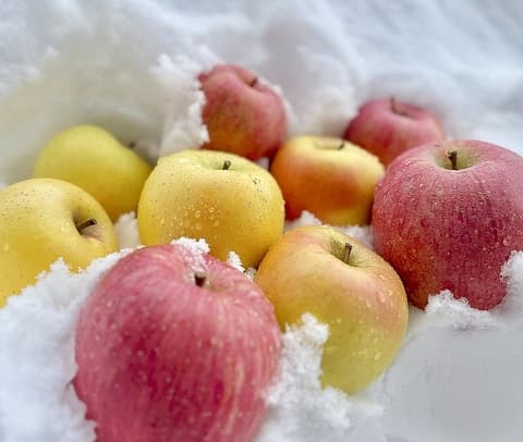 Rin5Life リンゴライフ