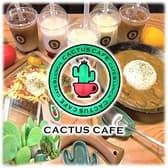 カクタスカフェ cactas cafe 勝川駅前店 3