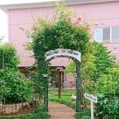 お菓子の部屋フレンズ 3