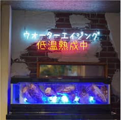 ナンマンゴギ 2