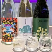 Sho chu ando ショウチュウアンド 3