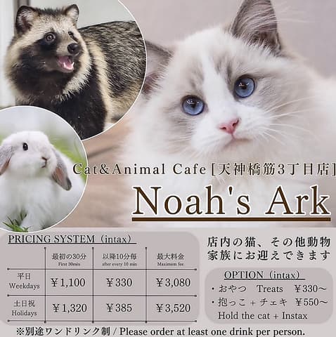 Cat&Animal Cafe Noah s Ark ノアズアーク 大阪天神橋3丁目店