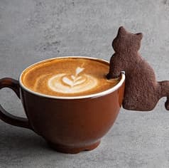 ブラックキャットカフェ 2