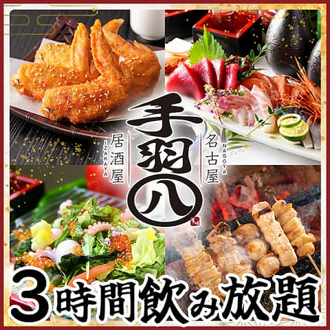 手羽八 てばはち 錦本店