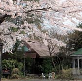 現代仏蘭西料理 朔詩舎 3