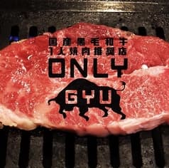 ONLY GYU オンリーギュウ 2