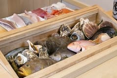 旬魚旬菜酒房 ダイヤ寿司 2