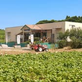 芋モンブラン農園工房 3