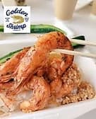 ゴールデンシュリンプ 3