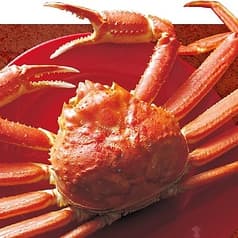 津島 甲羅本店 2