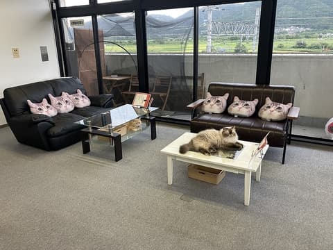 Music Bar Live RYUBOKU ミュージックバー ライブ リュウボク