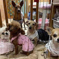 HOGOKEN PARK ホゴケンパーク 長居店 2