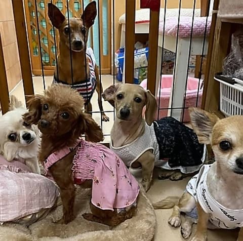 HOGOKEN PARK ホゴケンパーク 長居店