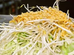 広島お好み焼J 2