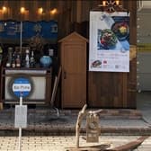 Ripple リップル 3