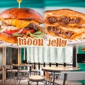 moon jelly ムーンジェリー 3