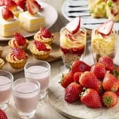 パルテール パレスホテル大宮 3