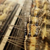 うなぎの佳川 かがわ 本店 3