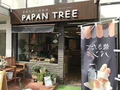 PAPAN TREE パパンツリー 2