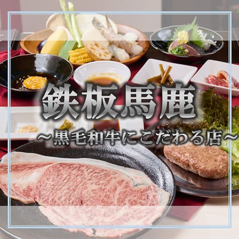 鉄板馬鹿 天満天六店