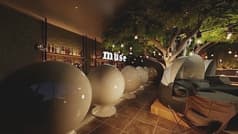 muse ミューズ 渋谷道玄坂店 2