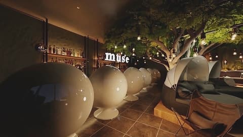 muse ミューズ 渋谷道玄坂店