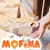 ふれあいカフェ MOFiiNA モフィーナ  3