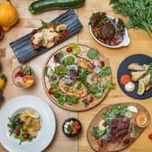 野菜とお鍋と揚げもんと とまり木432゛ 3