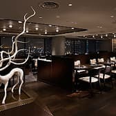 イルピノーロ スカイテラス そごう横浜店 3