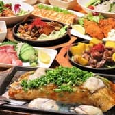 きんぎょ パルティ フジ衣山店 3