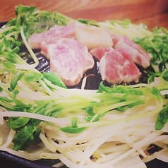 成吉思汗 さくや 2