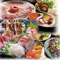 海鮮居酒屋さとるちゃん 2