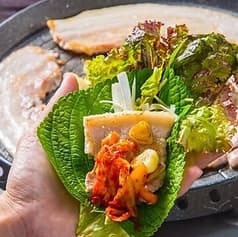 韓国料理の店 本家 ponga 2