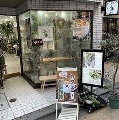 観葉植物とカフェのみせ　botanical terrace 2