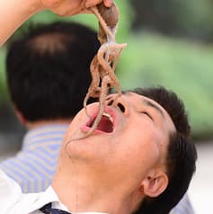 韓国居酒屋 肝っ玉亭 2