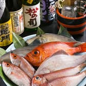 日本酒と魚串 松吉 3