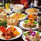 アジア中華創作料理 天府餃子城 3