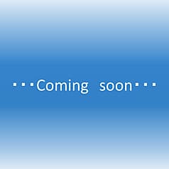 CAMMINARE AKASAKA カンミナーレ アカサカ 2