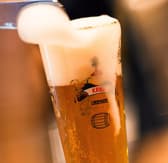 ブラッスリー セント ベルナルデュス 神田 3