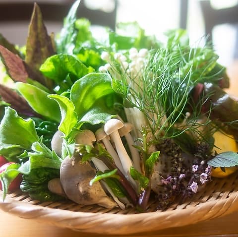 アグーしゃぶしゃぶOkuMasa