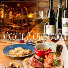 レコルタ カーブドッチ 2