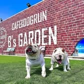 ビーズガーデン 3