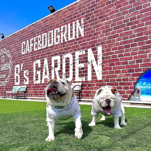 ビーズガーデン