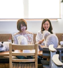 マンチカンズ 2