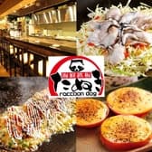 たぬき raccoondog 3