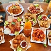 CACTUS PLANET カクタス プラネット 横浜店 3