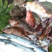 瀬戸内海鮮料理 いけす道楽 3